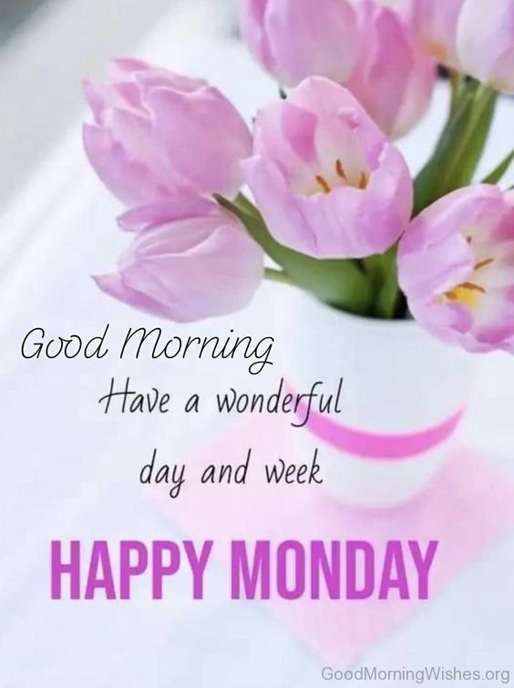 Happy Monday, Have A Wonderful Day And Week