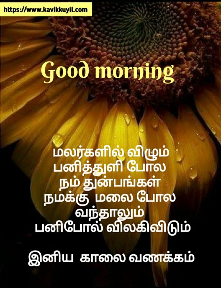 36 Sweet Good Morning Wishes in Tamil - Good Morning Wishes