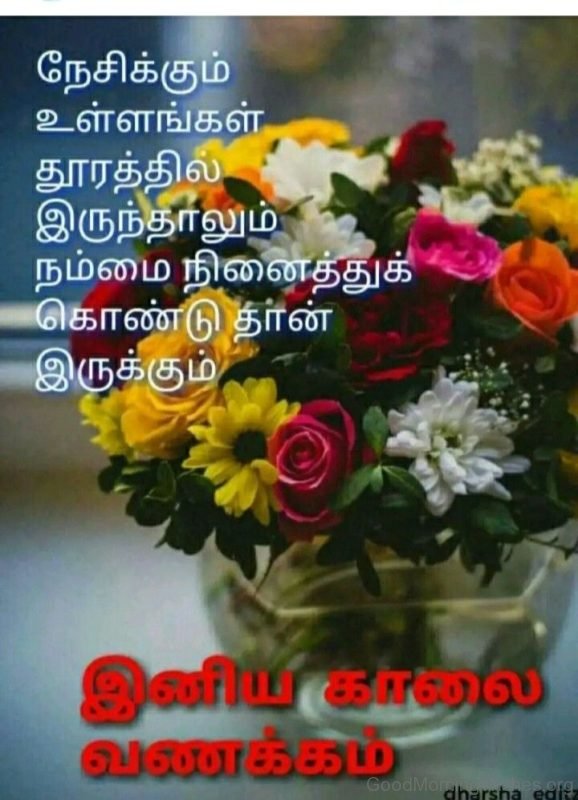 36 Sweet Good Morning Wishes in Tamil - Good Morning Wishes