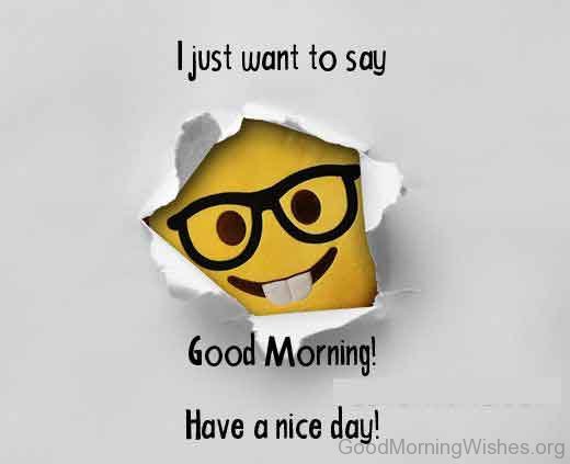 Funny Good Morning Wishes Good Morning Wishes