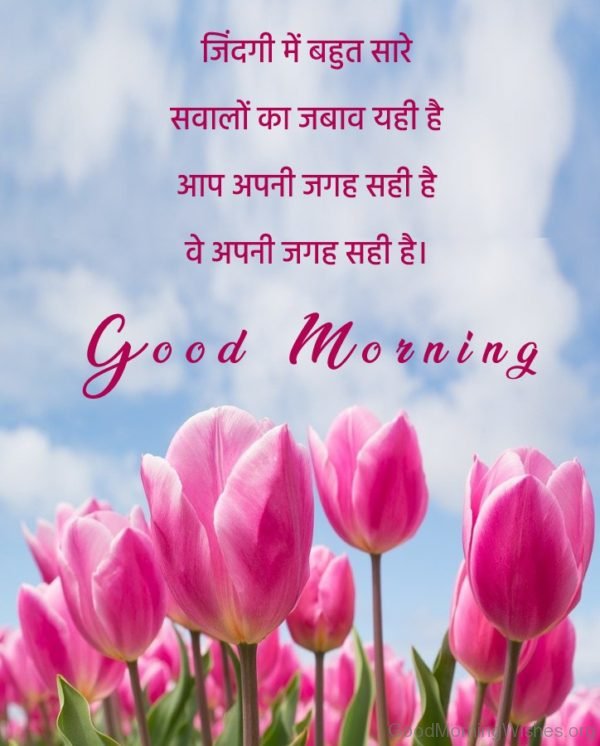 45 Delightful Good Morning Wishes in Hindi - Good Morning Wishes