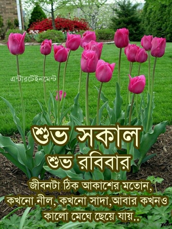 Bengali Good Morning Wish