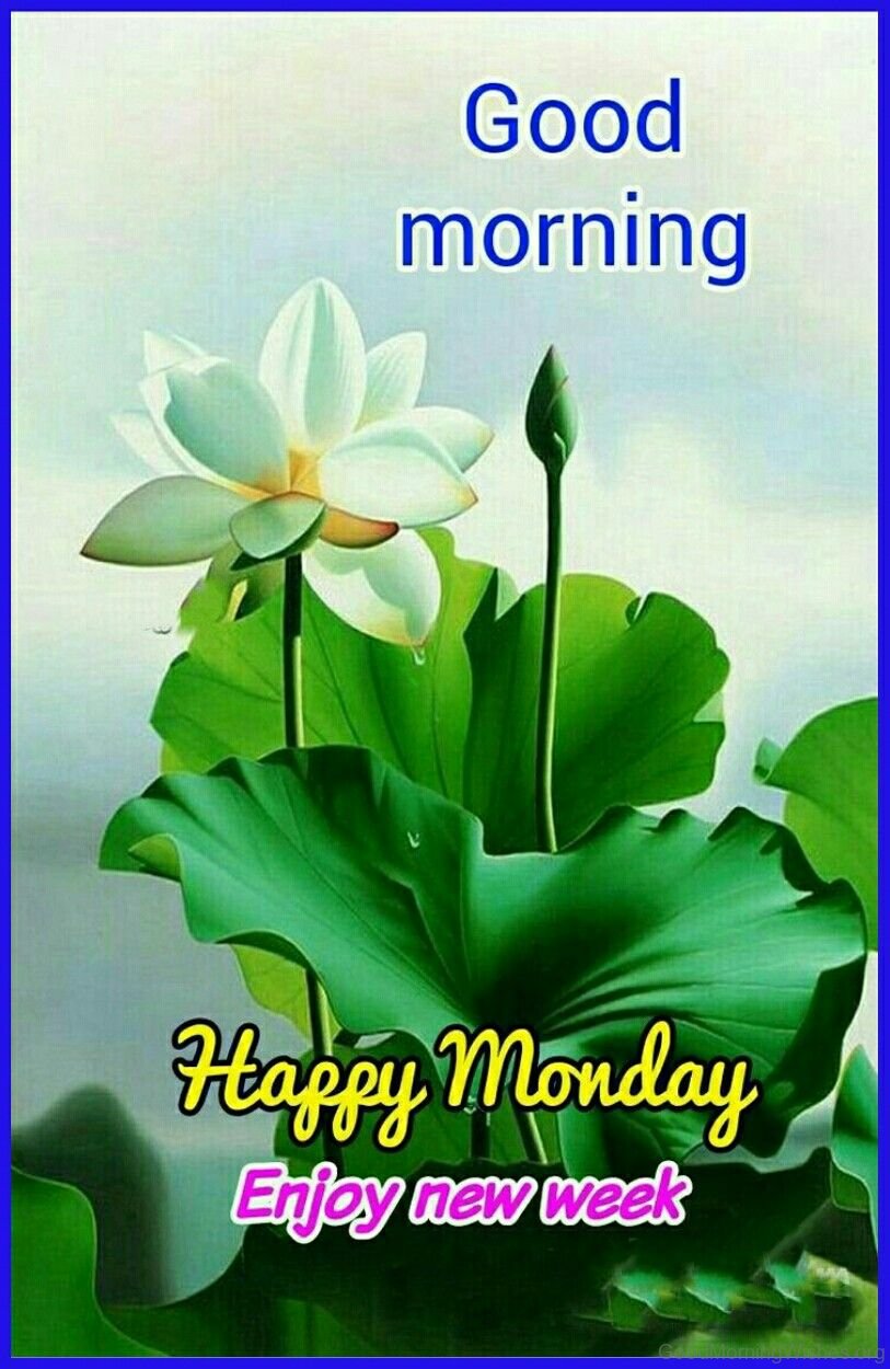 40+ Lovable Monday Good Morning Wishes - Good Morning Wishes