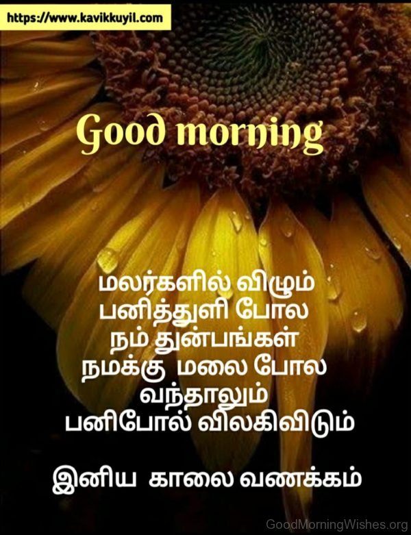 Good Morning Quote In Tamil