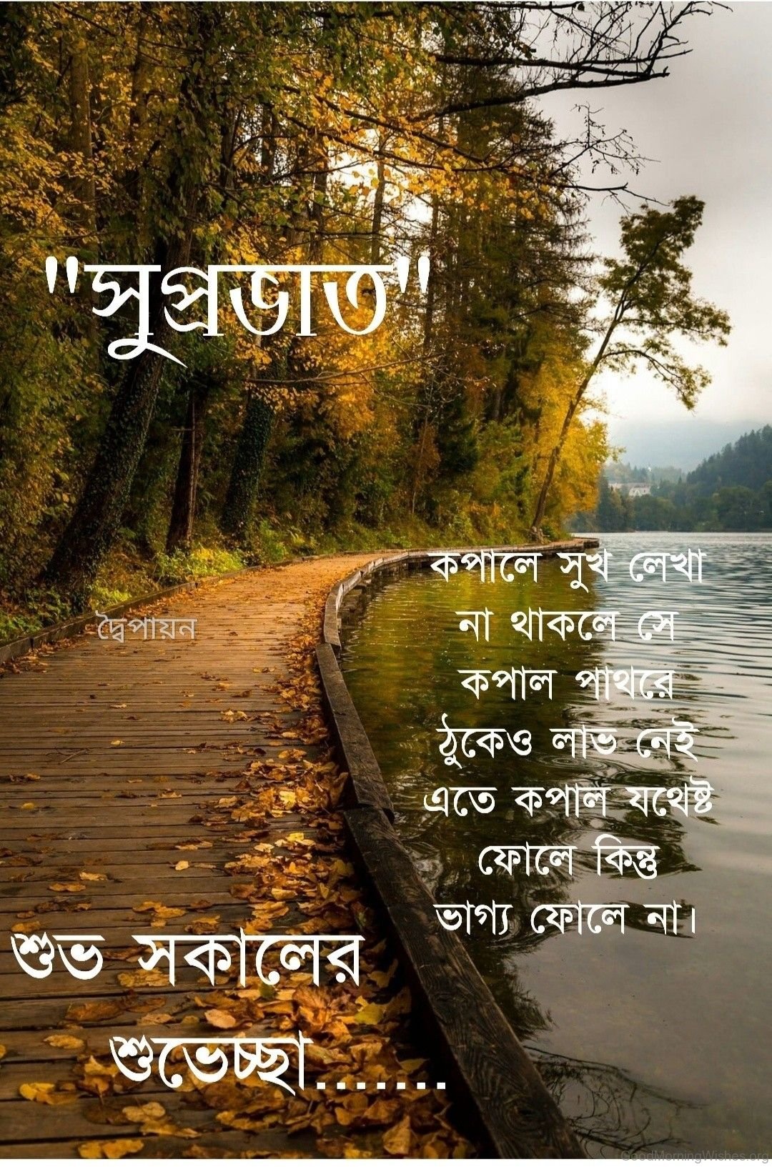 52 Cute Bengali Good Morning Wishes Good Morning Wishes