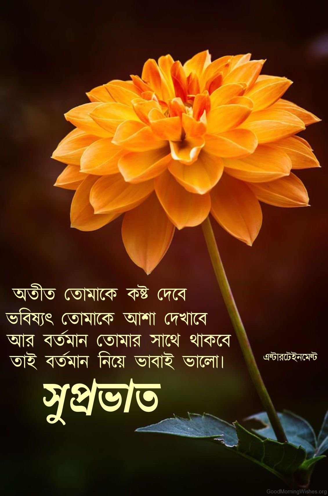 52 Cute Bengali Good Morning Wishes - Good Morning Wishes