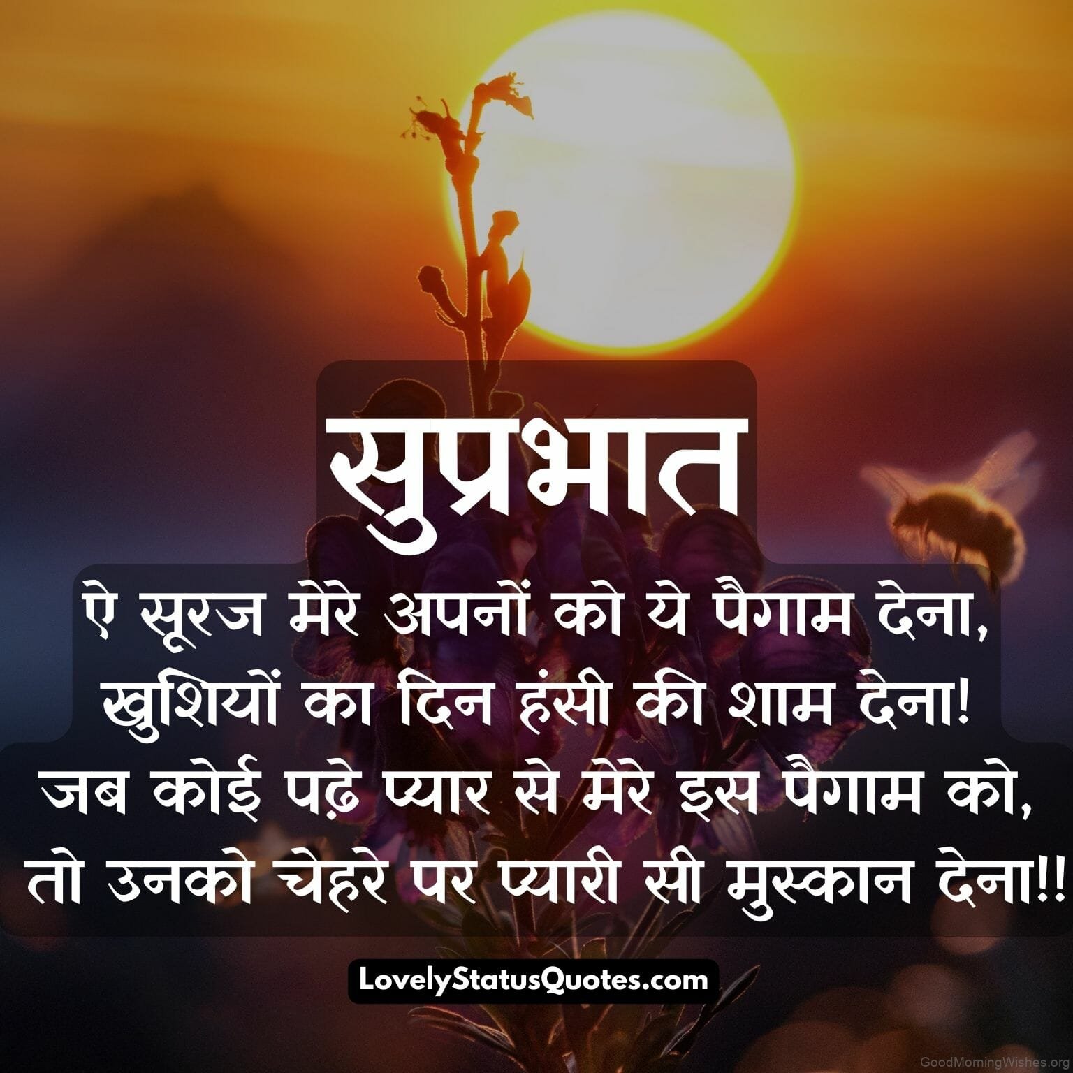 45 Good Morning Hindi Shayari Wishes - Good Morning Wishes