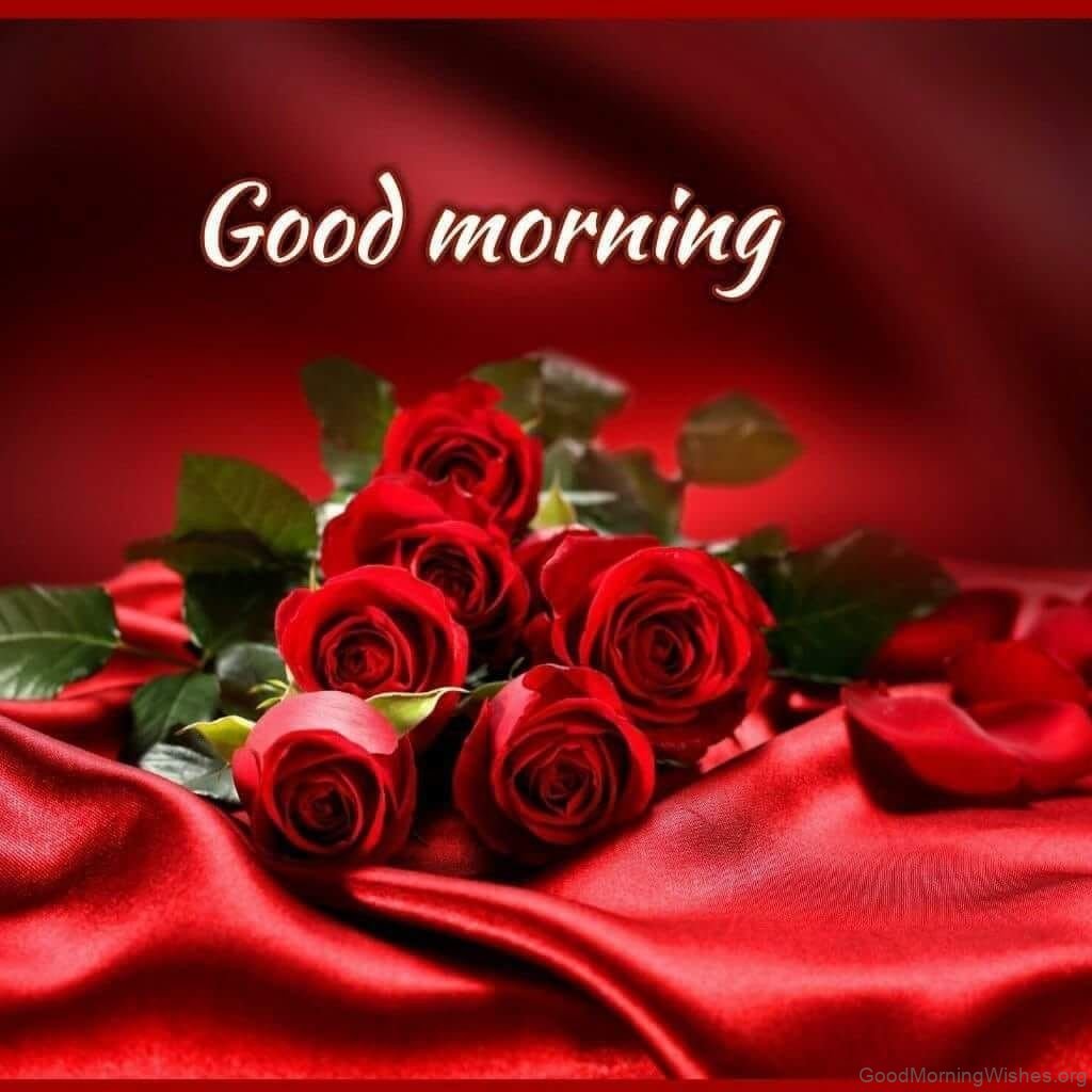 53 Good Morning Wishes with Flowers - Good Morning Wishes