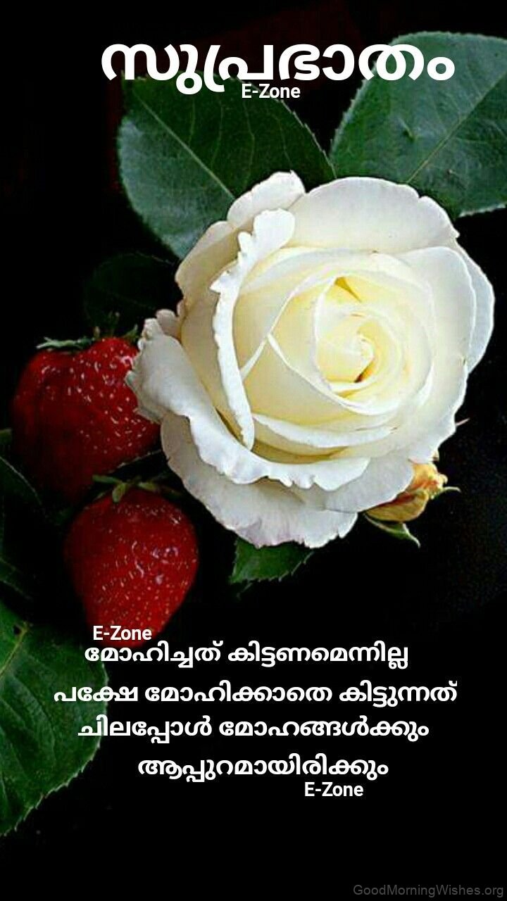 48 Good Morning Wishes in Malayalam - Good Morning Wishes