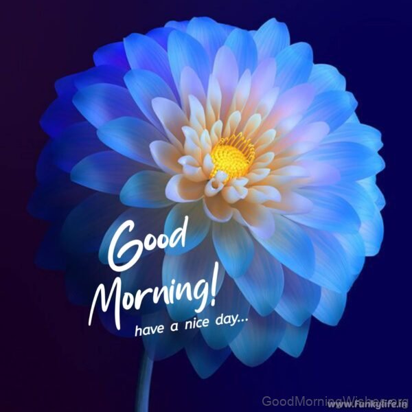 39 Amazing Good Morning Wishes with Flowers - Good Morning Wishes