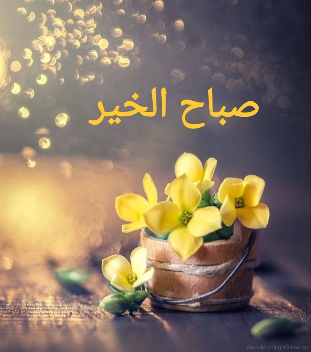 Wonderful Arabic Good Morning Wishes Good Morning Wishes