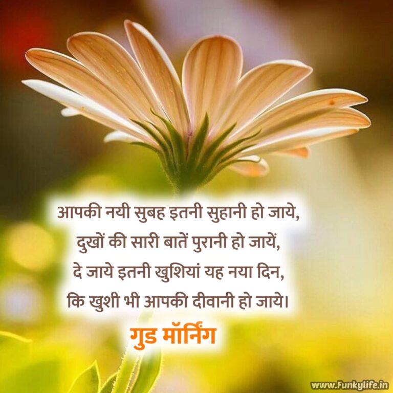 45 Good Morning Hindi Shayari Wishes - Good Morning Wishes