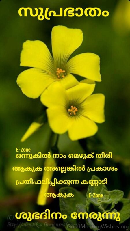 48 Good Morning Wishes in Malayalam - Good Morning Wishes