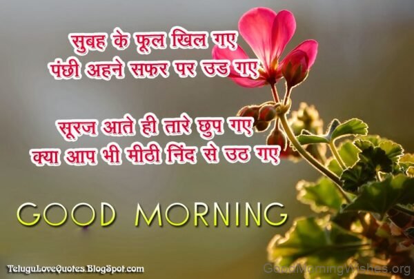 Good Morning Lovely Shayari Image
