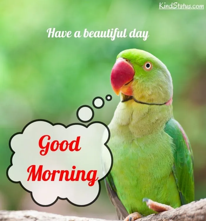 20+ Beautiful Good Morning With Parrot - Good Morning Wishes