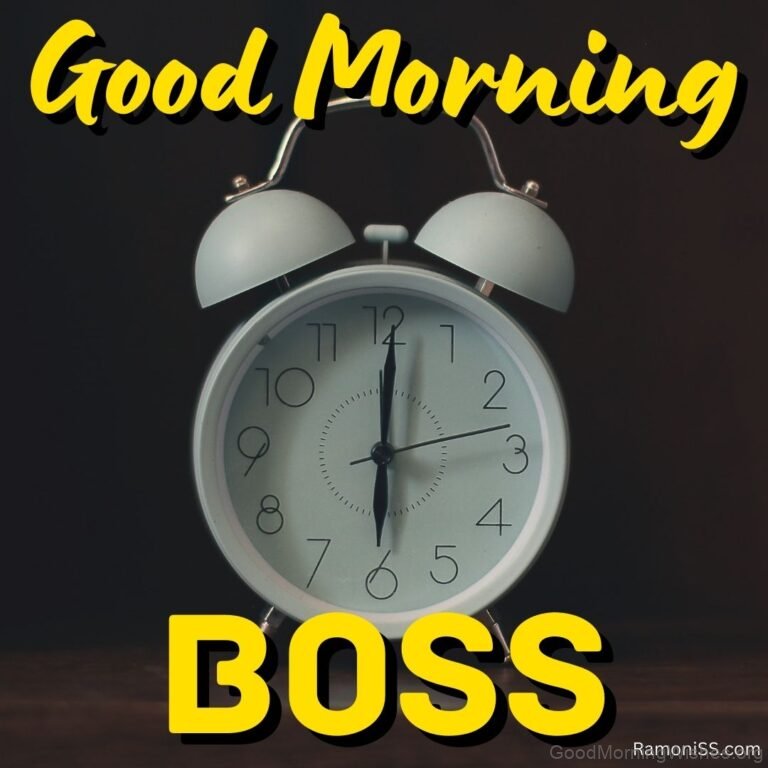 25+ Amazing Good Morning Wishes For Boss - Good Morning Wishes