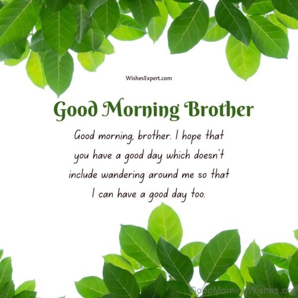 Brother Good Morning Have A Good Day Pic