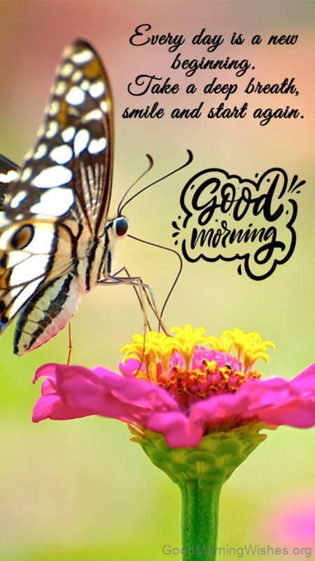 Every Day Is New Begining Good Morning Image