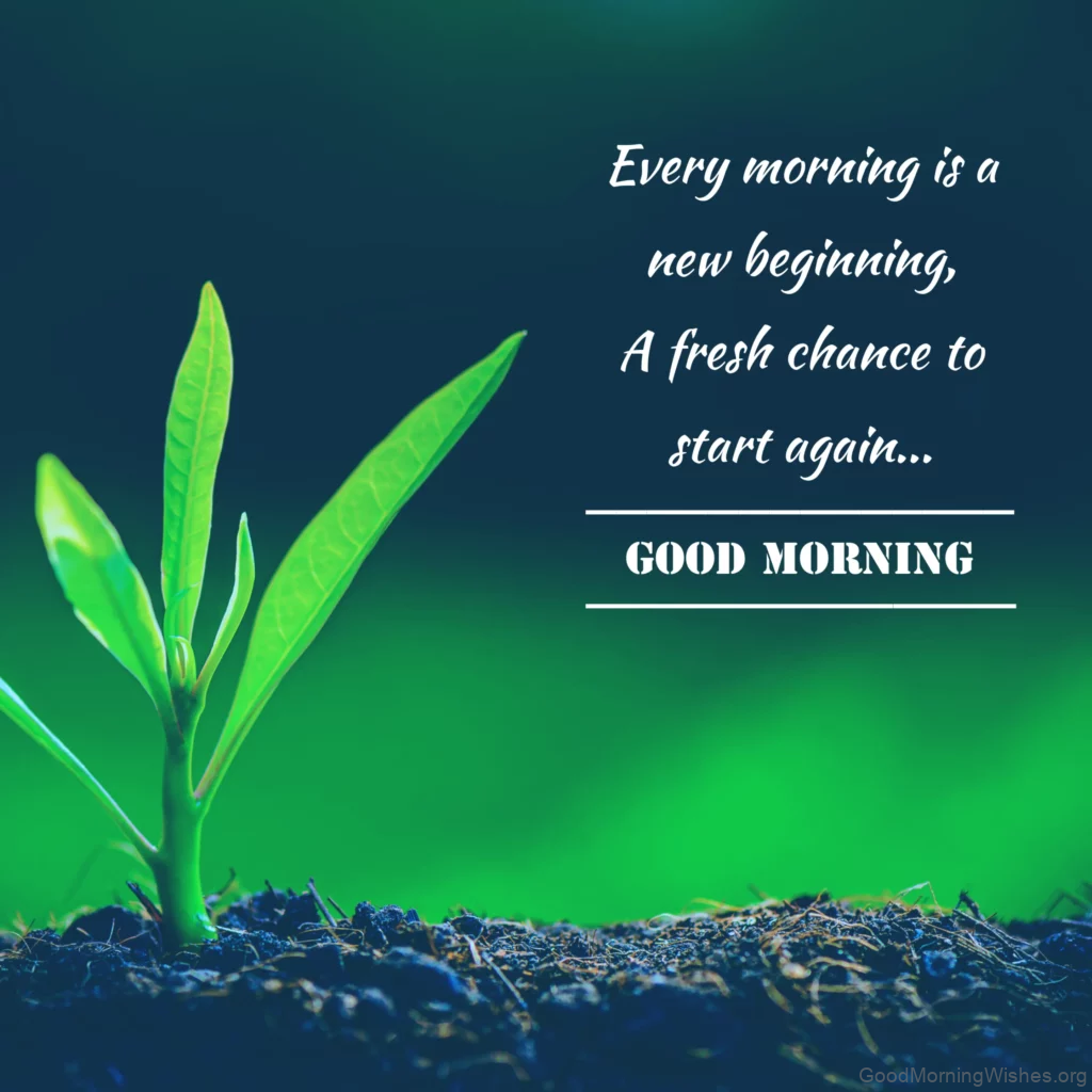 30+ Good Morning Wishes Inspiration Pictures - Good Morning Wishes