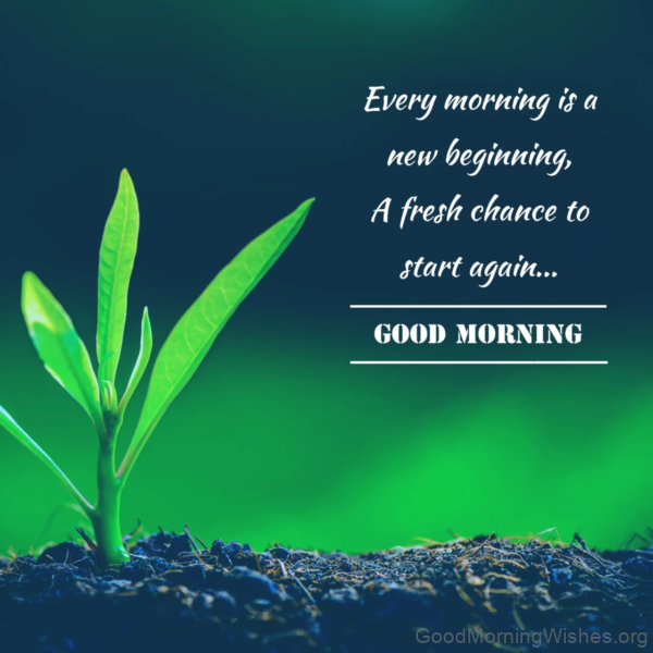 Every Morning Is A New Beginning Good Morning Image