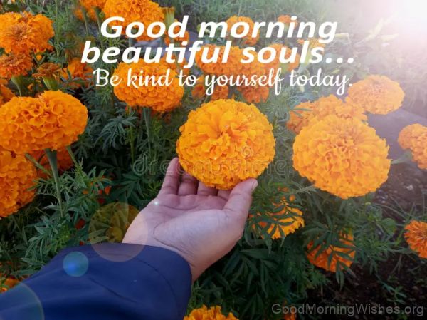 Good Morning Beautiful Souls Be Kind To Yourself Orange Marigold Flower Picture