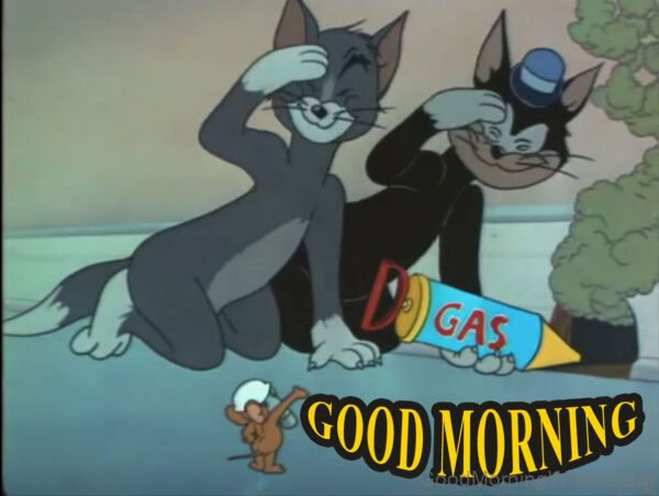 Good Morning Beautiful Tom And Jerry Pic