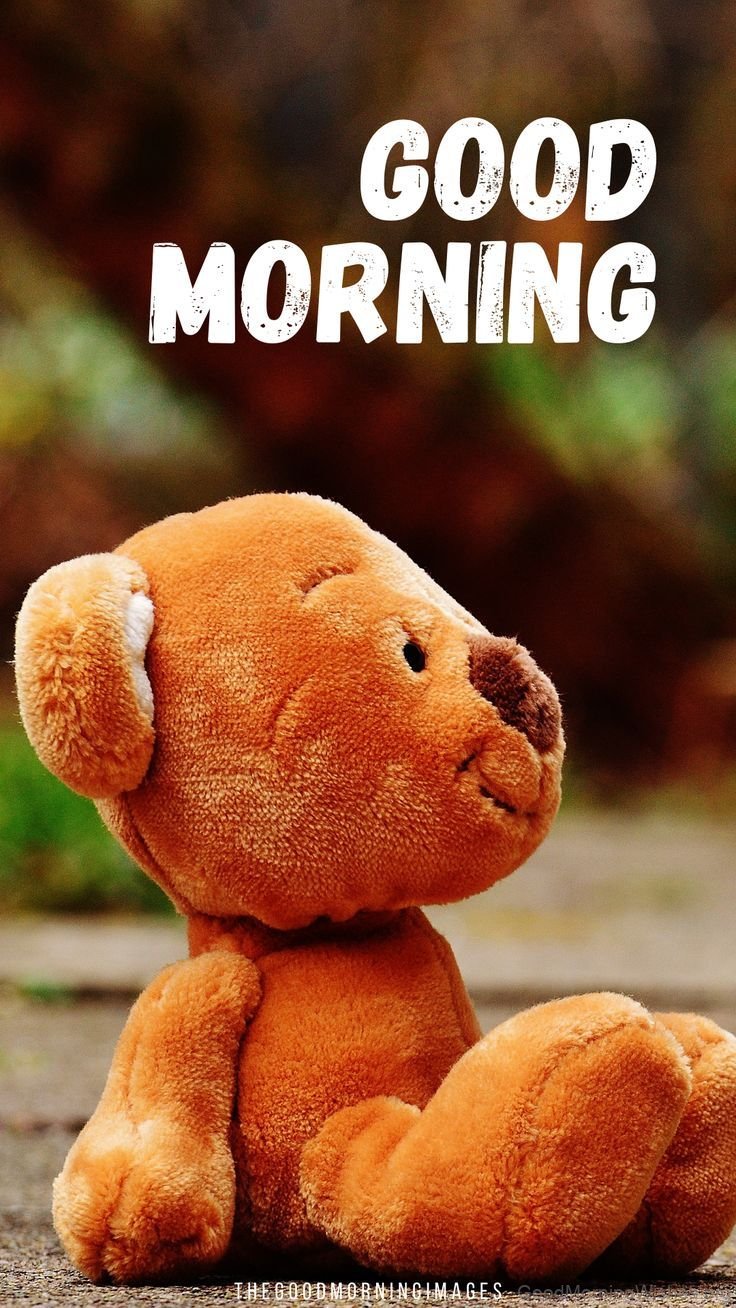 30+ Good Morning Cute Teddy Bear - Good Morning Wishes