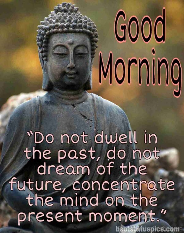 Good Morning Buddha Have A Great Day Imagequotes 18