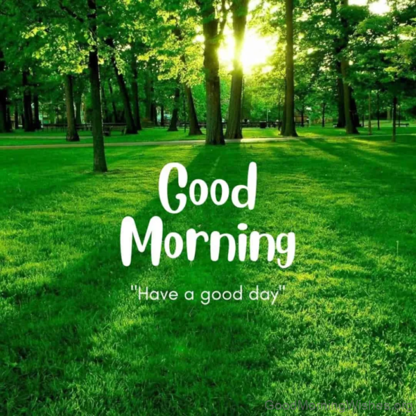 Good Morning Have A Great Day With Nature Status