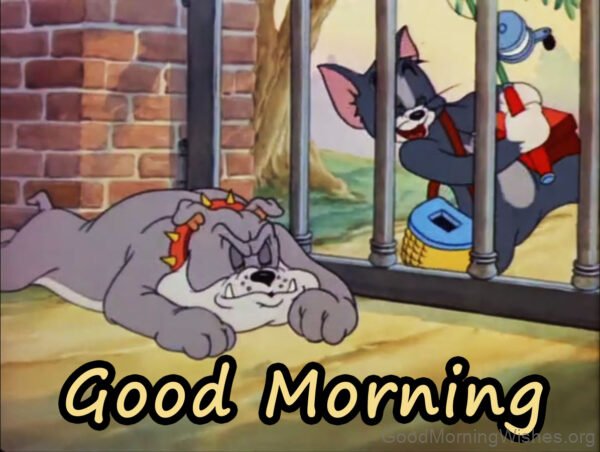 Good Morning Have A Great Day With Tom Jerry Pic