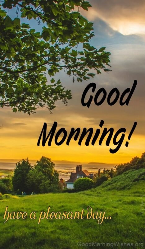 Good Morning Have A Pleasant Day Status