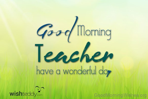 Good Morning Have A Wonder Day Teacher Pic