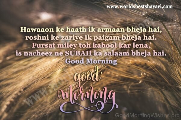 Good Morning Have A Adorable Day Status