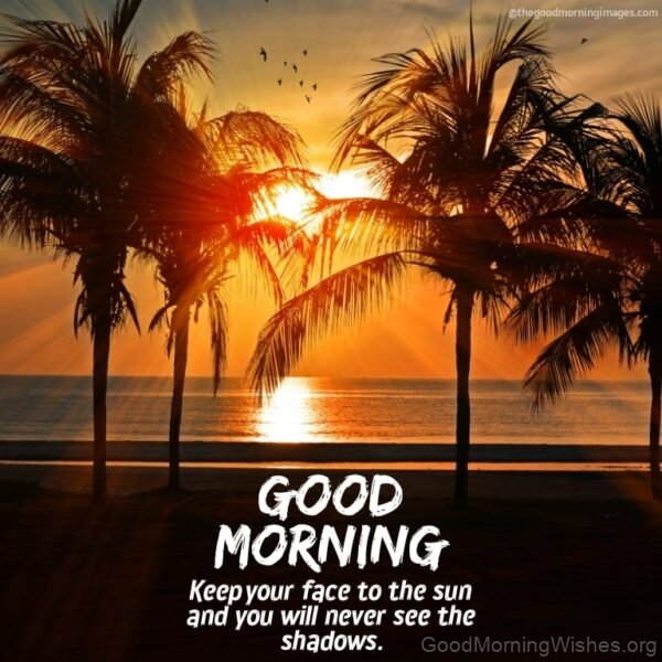 Good Morning Keep Your Face To The Sun Photo