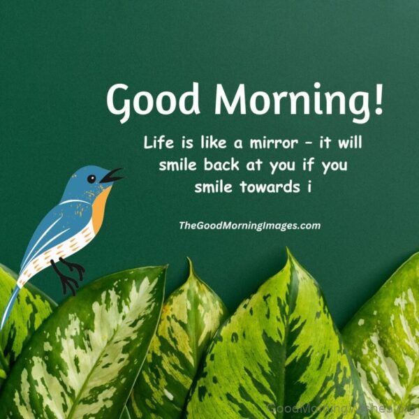 Good Morning Life Islike A Mirror Image