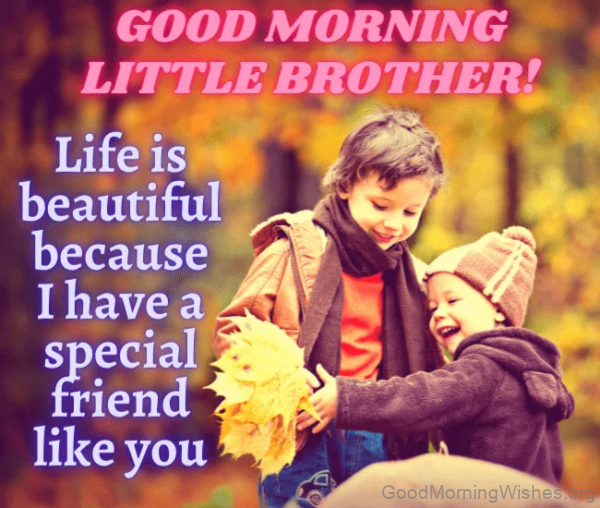Good Morning Little Brother Image