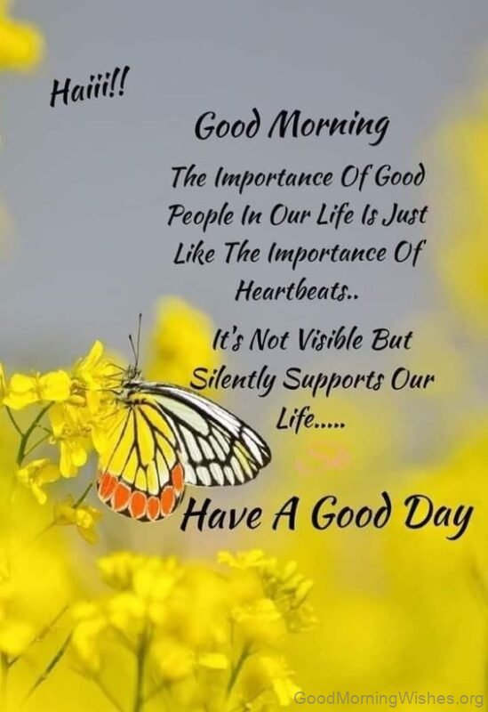 Good Morning Love Butterfly Picture