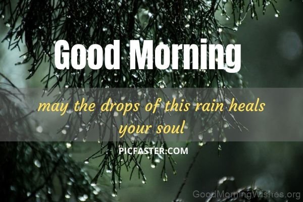 Good Morning May The Drops Of Rain Heals Your Soul Photos