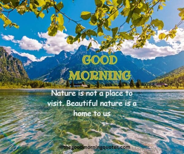Good Morning Nature Is Not Place To Visit Beautiful Nature Is A Home To Us Status