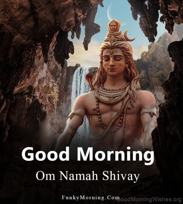 Good Morning Om Namah Shivay Photo