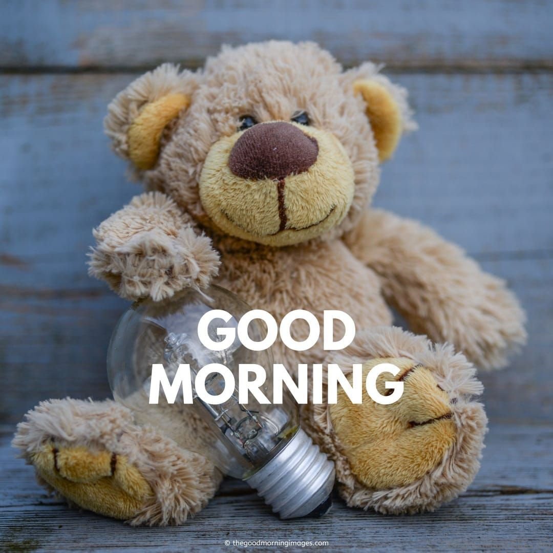 30+ Good Morning Cute Teddy Bear - Good Morning Wishes