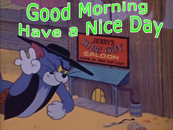 Good Morning Tom Jerry Have A Nice Day Pic