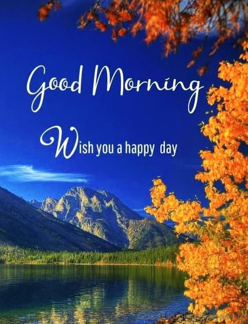 Good Morning Wish You A Happy Day Photo