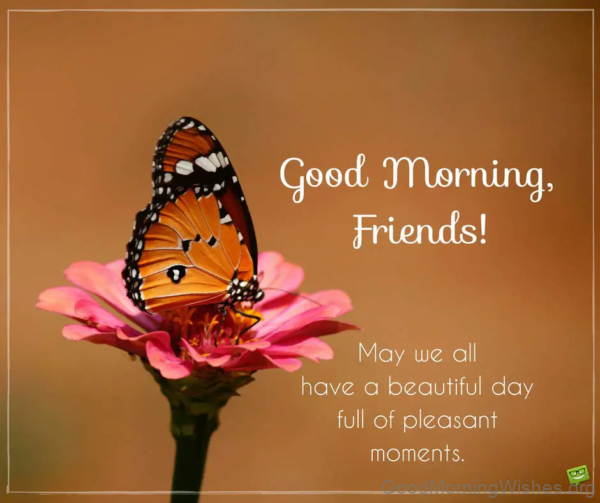 Good Morning With Friends And Butterfly Status