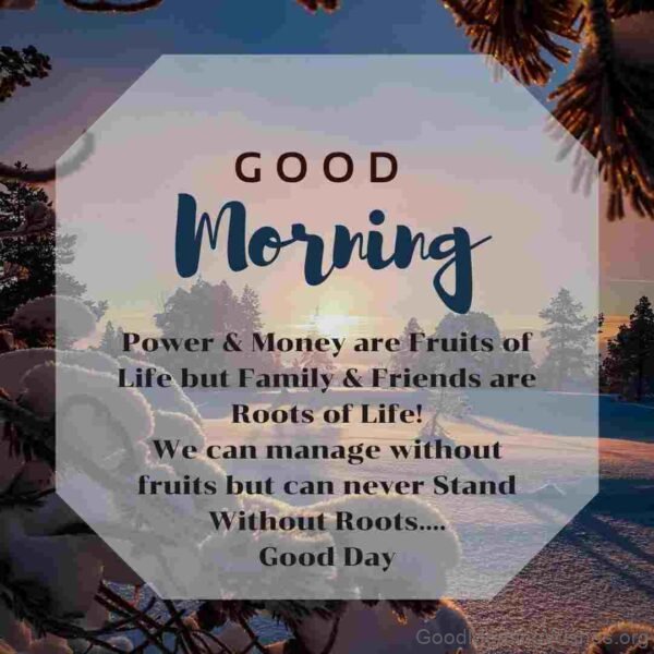 Power And Money Are Fruits Of Life But Family And Friends Are Roots Of Life Picture