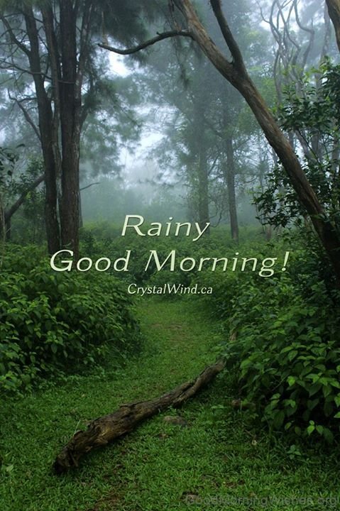 Rainy Good Morning Image