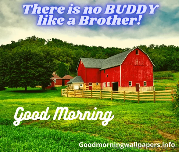 There Is No Buddy Like Brother Good Morning Status