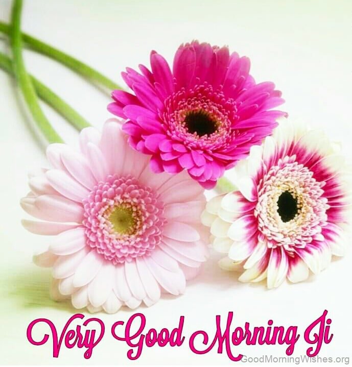 25+ Very Good Morning Wishes - Good Morning Wishes