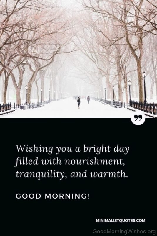 Wishing You A Bright Day Filled With Nourishment Good Morning Winter Image Pic