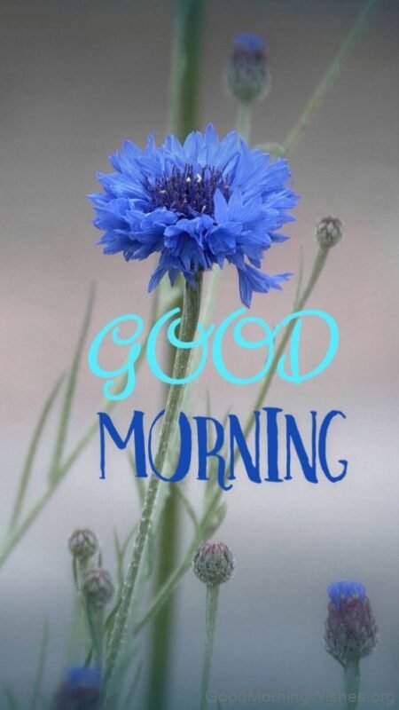 Good Morning Awsome Blue Flower